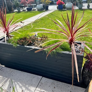 Martin added a photo of their purchase