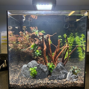 B added a photo of their purchase