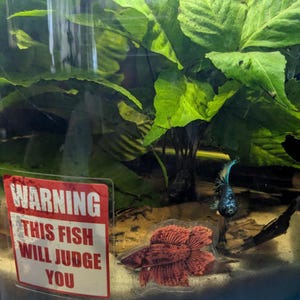 Marieliz added a photo of their purchase