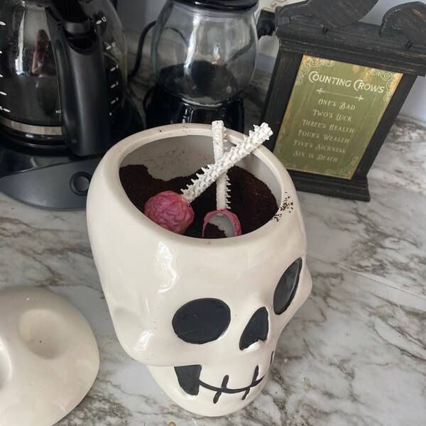 Brain and Spine Herb/dry Goods Scoop Spoon Set | Kitchen Utensils ...