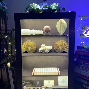 Renee さんが購入した商品の写真を追加しました