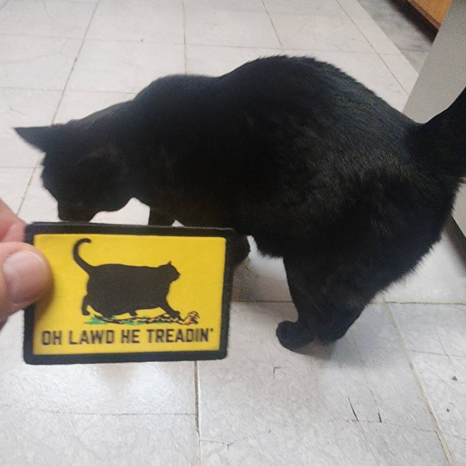 Oh Lawd He Treadin&#39; Funny Cat Morale Patch Don&#39;t Tread On Me - Hook and Loop Backing for Backpack, Rucksack, Operator Hat and Much More!