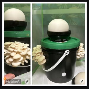 Missy added a photo of their purchase