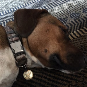 casey added a photo of their purchase