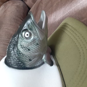 Hannah added a photo of their purchase