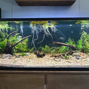 Diamond added a photo of their purchase