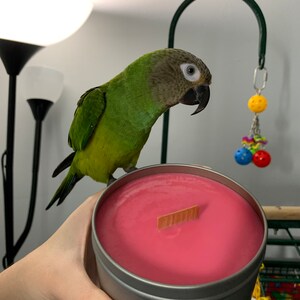 Maura added a photo of their purchase