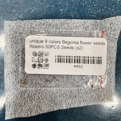 Usa-seller 100pcs Orchid Seed Flower Seeds RARE Home Garden Mixed Colors for sale online