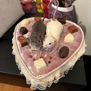Connor added a photo of their purchase