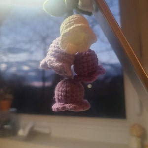 Maggie added a photo of their purchase