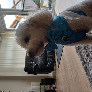 Barbara added a photo of their purchase