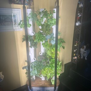 Guida Completa Al Gran Premio Del Belgio 2026: Scopri Spa-Francorchamps - Foto 9