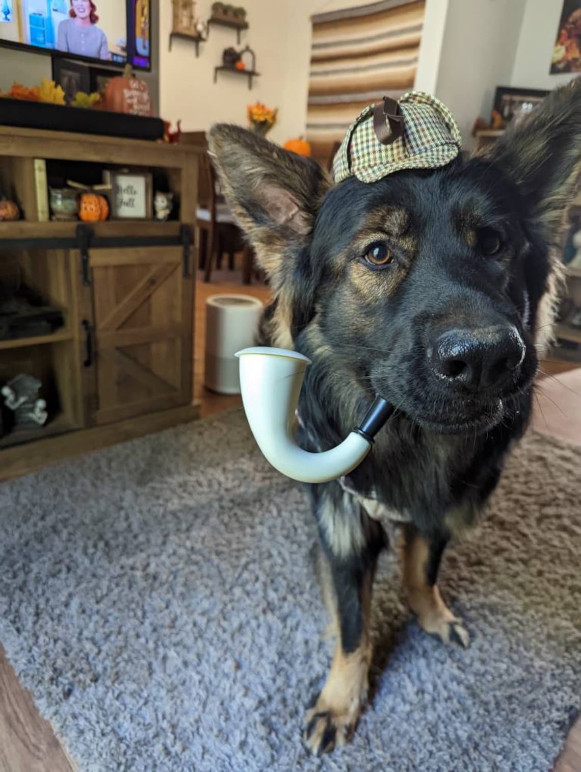 Customer photo of a pet with the Sherlock Holmes Deerstalker Houndstooth Hat for