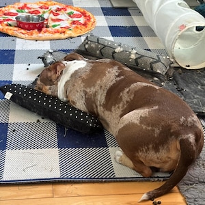 Ivy added a photo of their purchase