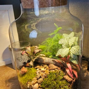 Lynda added a photo of their purchase