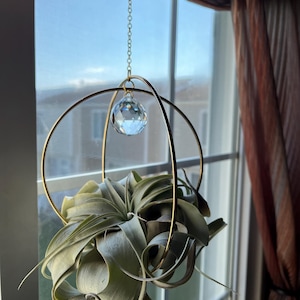 Amanda added a photo of their purchase