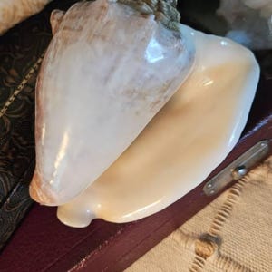 Amanda added a photo of their purchase