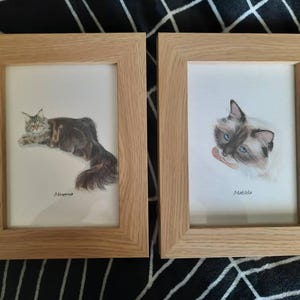 Amy heeft een foto van de aankoop toegevoegd