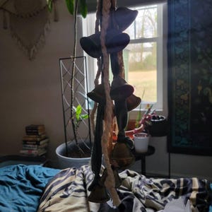 Victoria added a photo of their purchase