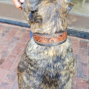 Leah added a photo of their purchase