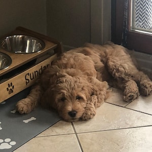 Carole added a photo of their purchase