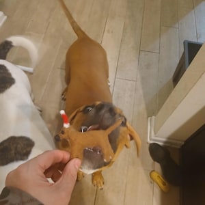 Custom Needle Felted Dog Christmas Ornament: Handmade Pet Memorial Gift