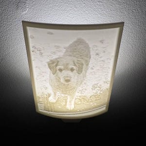 tracy さんが購入した商品の写真を追加しました