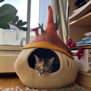 Angelica added a photo of their purchase
