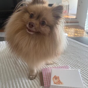 Ki added a photo of their purchase