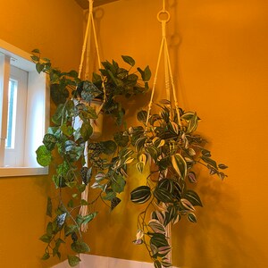 Alyssa added a photo of their purchase