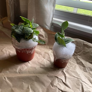 Keyshanna added a photo of their purchase