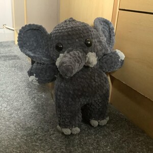 Tiggi added a photo of their purchase