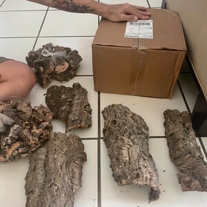 Joriam adicionaram uma foto da sua compra