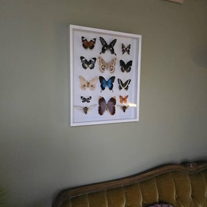 Sakura dodał(a) zdjęcie swoich zakupów