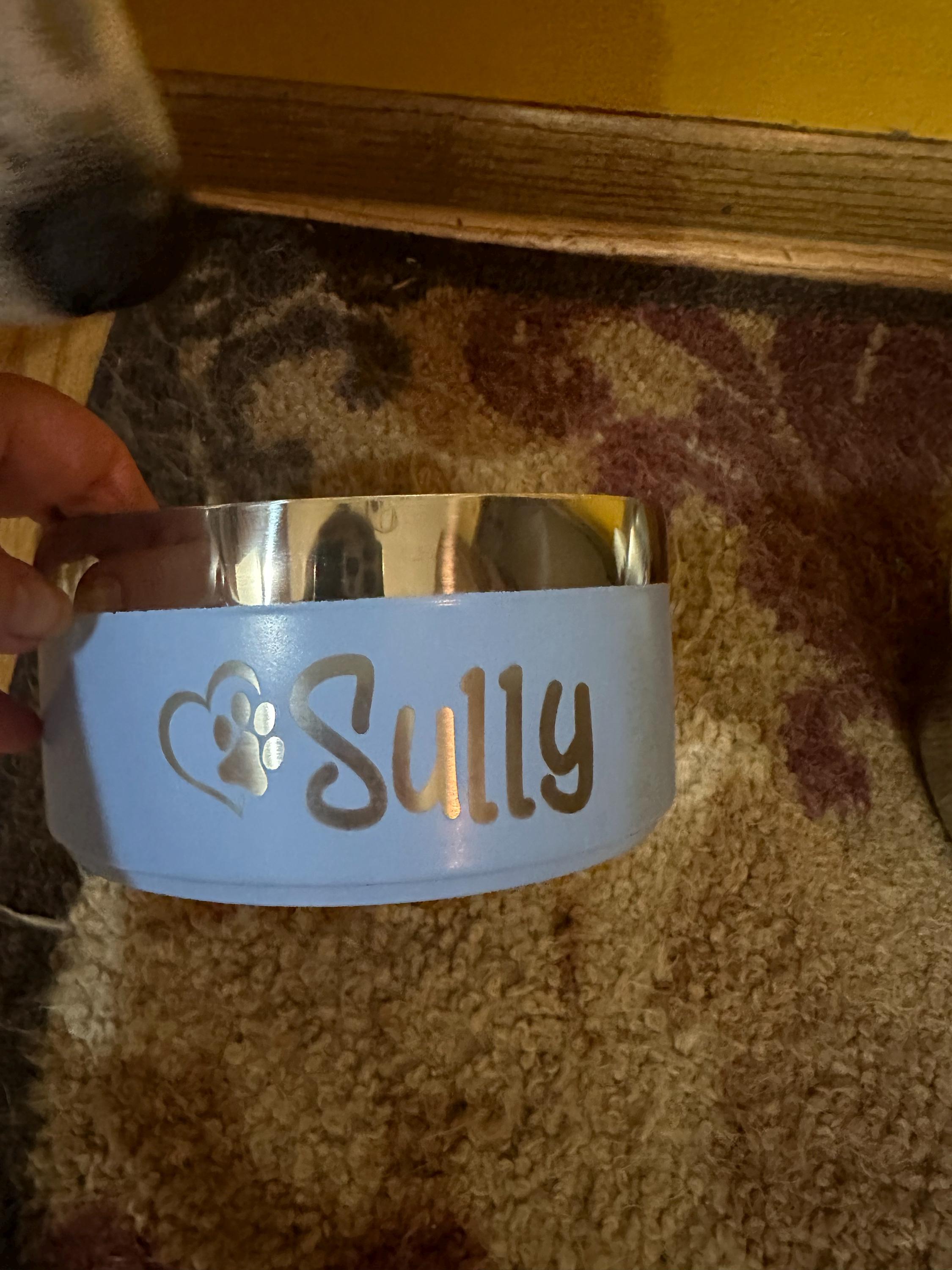 Custom Dog Bowl, Personalized Dog Food Bowl with Name, Dog Food/Water Bowls, Small-Large Bowls for Pet, Stainless Steel Cat Feeder Bowl Pet Gift