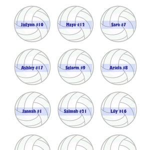 Volleyball Tag Printable. Volleyball Name Tags. Volleyball Bag Tags ...