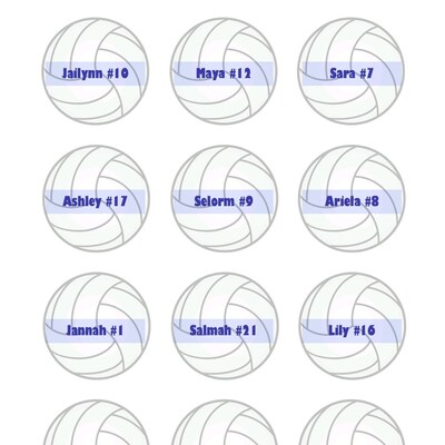 Volleyball Tag Printable. Volleyball Name Tags. Volleyball Bag Tags ...