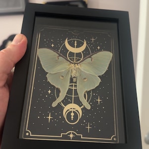 Luke added a photo of their purchase