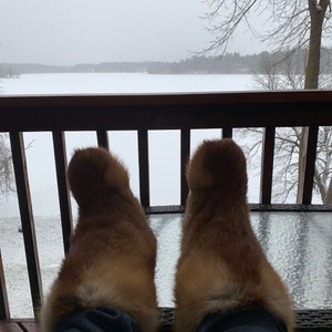 Tyler added a photo of their purchase