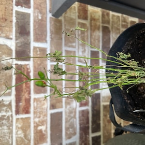 Shane added a photo of their purchase