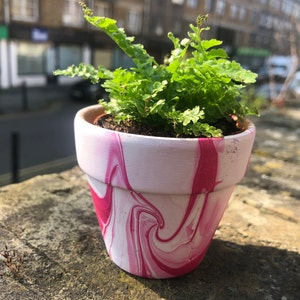 Lucy added a photo of their purchase