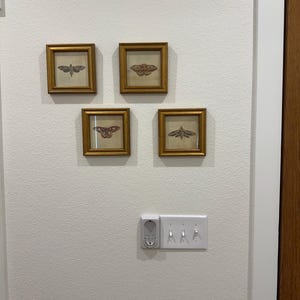 Jill added a photo of their purchase