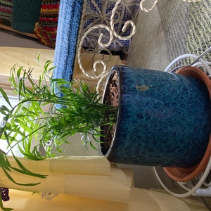Susan added a photo of their purchase