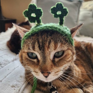 Shamrock Headband for Cats, St. Patrick's Day Cat Accessories, Cat