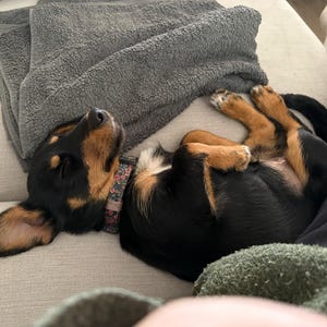Heidi ha añadido una foto de su compra