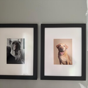 Holly added a photo of their purchase