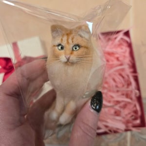 Ciaran added a photo of their purchase