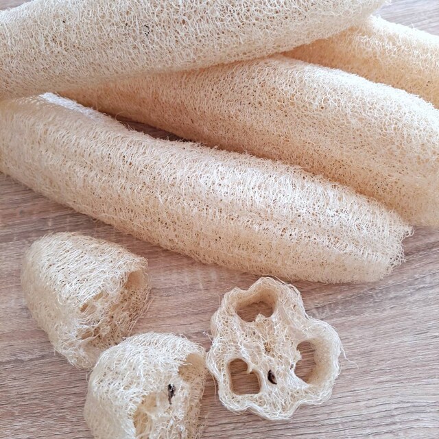 Natural loofah Wholesale loofah Organic loofah by OurForestFarm