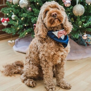 Natalie ha añadido una foto de su compra