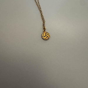 Customer photo, Volleyball Necklace